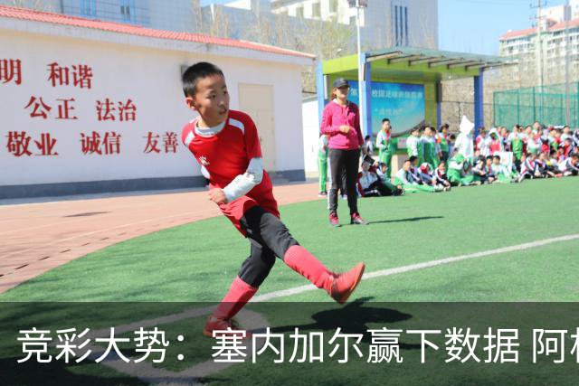 竞彩大势：塞内加尔赢下数据 阿根廷完胜